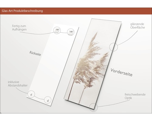 Glasbild mit Schilfmotiv, inklusive Wandhalterung