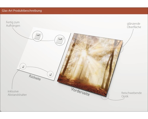 Glasbild mit Waldmotiv, inklusive Abstandshalter und glänzender Oberfläche
