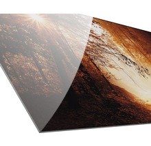 Gros plan d''un motif de forêt sur une plaque en verre acrylique