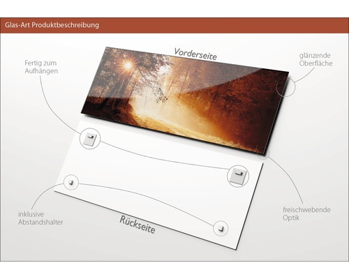 Glasbild mit Waldmotiv, inklusive Abstandshalter und Aufhängvorrichtung
