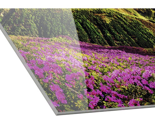 Acrylglasbild mit Blumenwiese und Berglandschaft