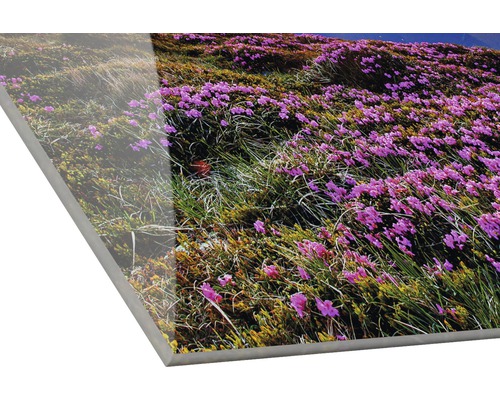Acrylglasbild mit einer Wiese voller Blumen