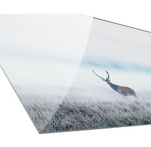 Glasbild Deer in the fog 30x80 cm