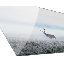 Glasbild Deer in the fog 50x125 cm