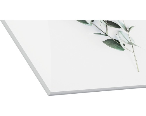 Image en verre acrylique avec motif d''eucalyptus