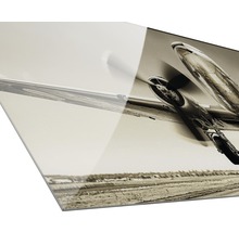 Glasbild Plane III 50x125 cm
