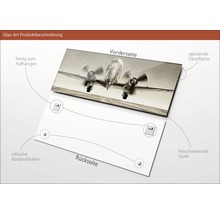 Glasbild Plane III 50x125 cm