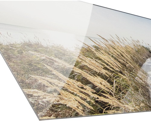 Acrylglasbild mit Gräsern