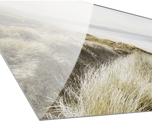Image en verre acrylique d''un paysage de dunes avec des herbes