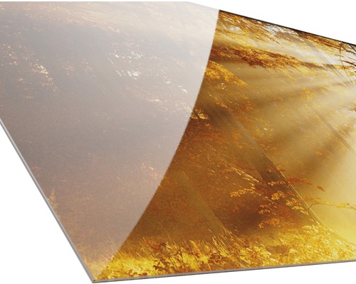 Alu-Dibond-Platte mit Waldmotiv