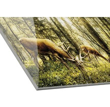Glasbild Deers in the forest 30x30 cm
