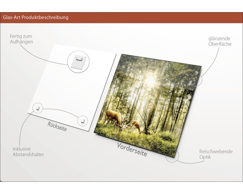 Glasbild mit Waldmotiv, glänzender Oberfläche, inklusive Abstandshalter zur Wandbefestigung.