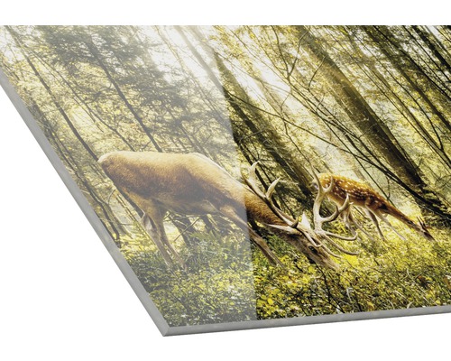Acrylglasbild mit einem Hirsch und einem Reh im Wald