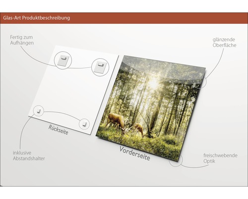 Glasbild mit Waldmotiv, inklusive Abstandshalter und Aufhängung