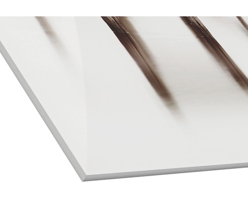Acrylglasplatte mit aufgedrucktem Motiv
