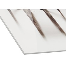 Panneau de support blanc avec impression photo
