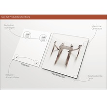 Glasbild Produktbeschreibung: Rückseite mit Halterungen zum Aufhängen, Vorderseite mit glänzender Oberfläche und freischwebender Optik