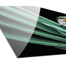 Glasbild Green Parrot 50x125 cm