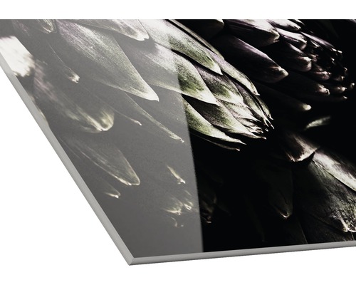 Nahaufnahme einer Wandverkleidung mit Pflanzenmotiv