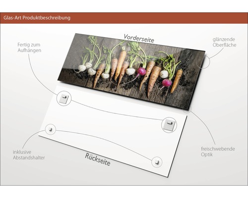 Glasbild mit Karotten und Radieschen auf Holzgrund, inklusive Abstandshalter