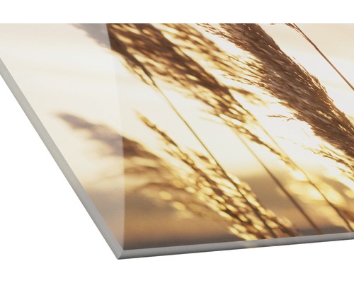 Image en verre acrylique avec motif d''herbe