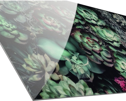 Panneau décoratif avec motif de plantes succulentes