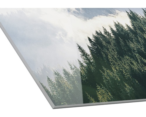 Wandbild mit Waldmotiv