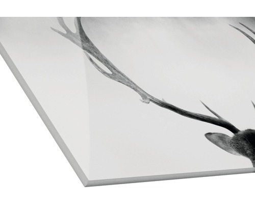 Acrylglasbild mit Hirschmotiv