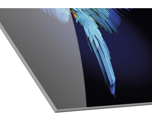 Acrylglasbild mit Ara-Motiv