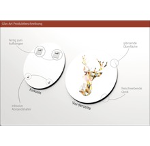 Glasbild rund Deer II Ø 50 cm
