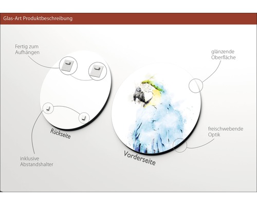 Glasbild mit Papagei-Motiv, inklusive Aufhängung und Abstandshalter, glänzende Oberfläche