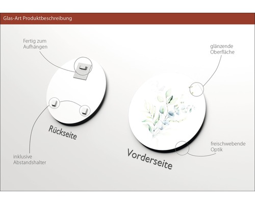Glasbild mit Aufhängung auf der Rückseite und Pflanzenmotiv auf der Vorderseite