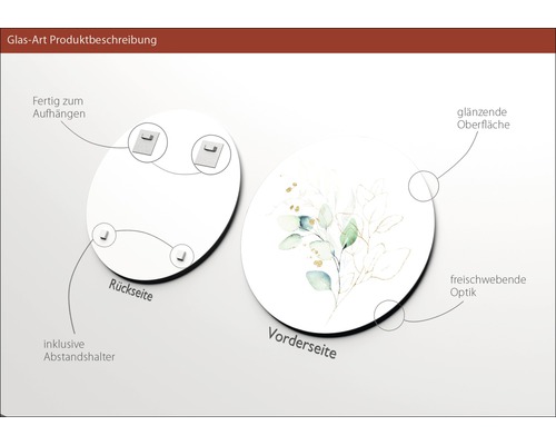 Glasbild Produktbeschreibung: Rückseite mit Aufhängung und Abstandshalter, Vorderseite mit Pflanzenmotiv und glänzender Oberfläche