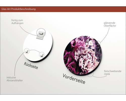 Produktbeschreibung Glasbild: Rückseite mit Aufhängung und Abstandshalter, Vorderseite mit Blumenmotiv und glänzender Oberfläche