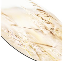 Glasbild rund Strandgras IV Ø 50 cm