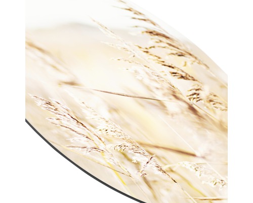 Herbe décorative sur un fond rond