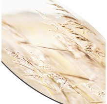 Glasbild rund Strandgras IV Ø 20 cm