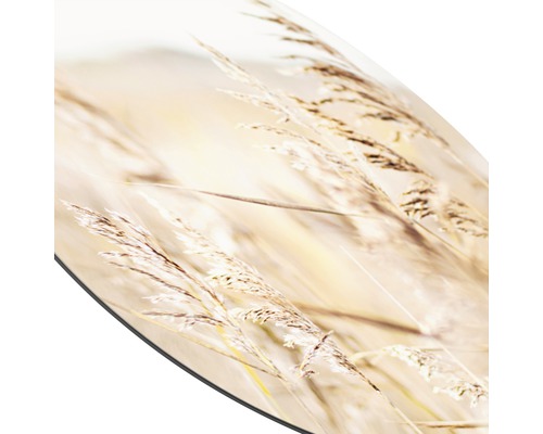 Image décorative d''épis de graminées