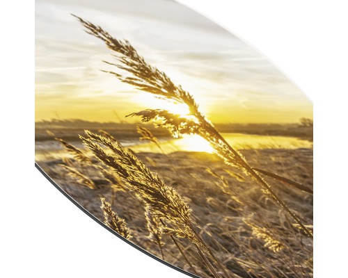 Image murale ronde avec des herbes à contre-jour