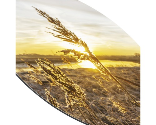 Image décorative avec des herbes et un lever de soleil