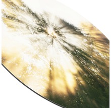 Nahaufnahme einer Platte mit Waldmotiv