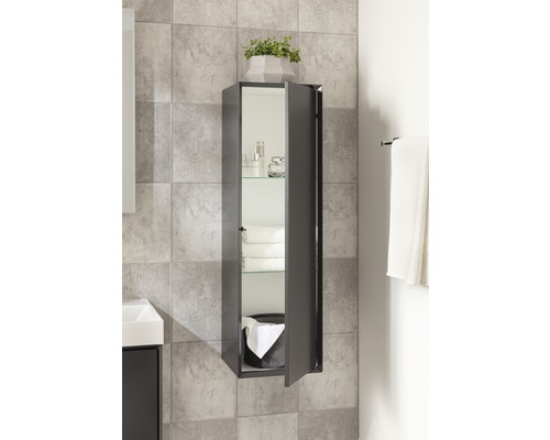 Salle de bain avec armoire de toilette à miroir, étagères et accessoires