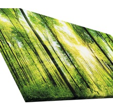 Impression sur toile avec motif de forêt et soleil
