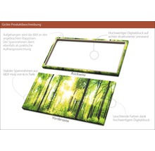 Giclée Leinwandbild Forest Feeling II 60x120 cm