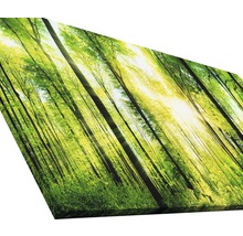 Tableau sur toile giclée Forest Feeling II 80x160 cm
