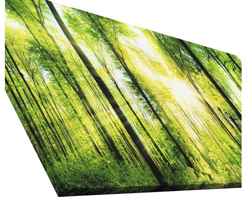 Tableau mural avec motif de forêt et lumière du soleil