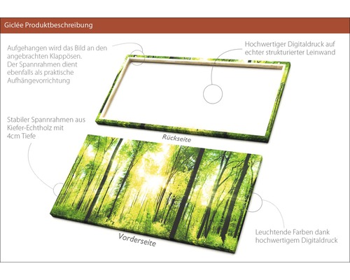 Produktbeschreibung einer Giclée Leinwand mit Waldmotiv, bestehend aus einem Digitaldruck auf Leinwand und einem Spannrahmen aus Kiefernholz.