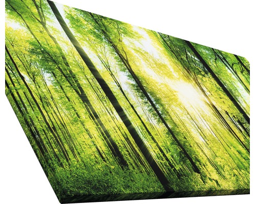 Tableau sur toile avec motif de forêt et rayons de soleil