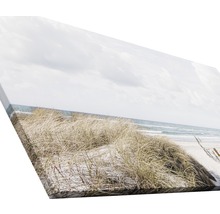 Leinwanddruck mit einem Motiv von Dünengras am Strand