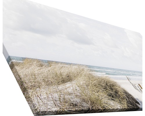 Leinwanddruck mit einem Motiv von Dünengras am Strand
